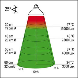 Abb. 3: Wärmeverteilung bei einem 50 Watt Halogenstrahler unter "Idealbedingungen". Grafik: Lucky Reptile 