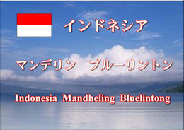 インドネシア マンデリン ブルーリントン