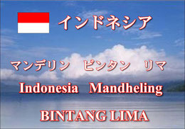 インドネシア　マンデリン　ブルーリントン