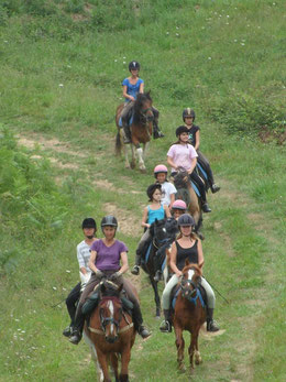 Poney club de Saint-Palais