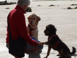 Ronja und Django bevor sie ins Meer düsen können