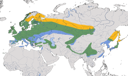 Karte zur Verbreitung des Wintergoldhähnchens (Regulus regulus)