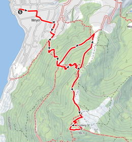 Grünberg, Gmunden, Ortnersteig, Trailrunning