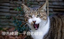 滑舌練習
