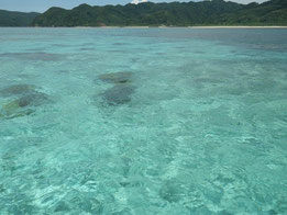 西表島網取の海