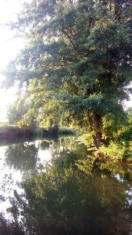 Le cours de l'eau est le miroir des pensées.