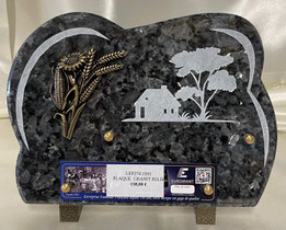 plaque Forme 1 - 138 €