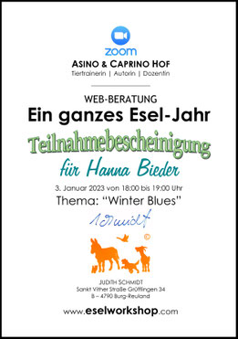 Beispiel