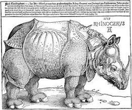 Bild Albrecht Dürer