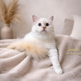 Smilla von Malterstorp