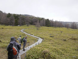 湯の丸高原　篭ノ登山　池の平湿原