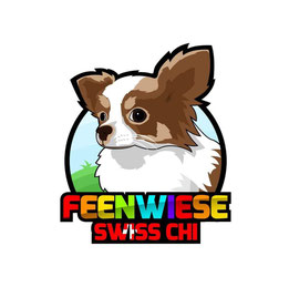 Kleine, liebevolle, anerkannte und zertifizierte Chihuahua- Zucht mitten im Herzen der Ostschweiz.