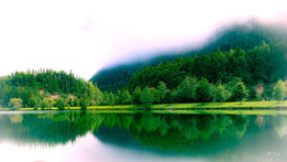 Monika Primetshofer - Fog over the lake  (Nebel überm See), Panasonic Lumix f 2.8, 1/640 sec., Iso 125