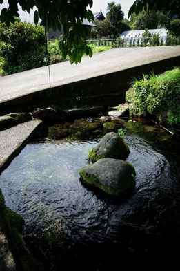 私が飲ませていただいた池の川水源の写真だよ