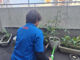 花壇