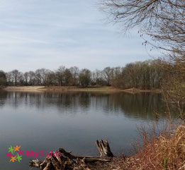 Erlensee Bickenbach