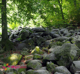 Felsenmeer Lautertal