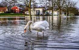 Hochwasser - Flut - Stakregen - Sturm - Überschwemmung