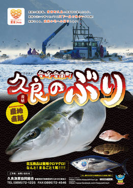 愛媛・愛南町　養殖 久良のぶり