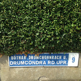 Bóthar Dromchonnrach U.