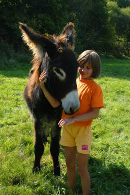 sortie scolaire, visite de ferme à Vassivière / D Guillemain©CRT Limousin