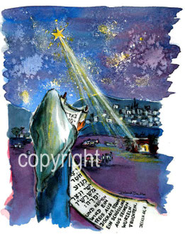 weihnachtliche Gegend