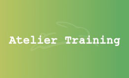 Stefan Häseli - Atelier CT