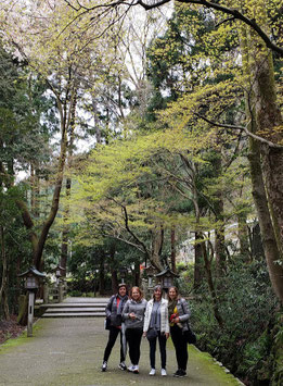 2019年４月　白山比咩神社