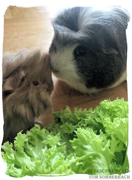 Alf mit Gustel, Foto Familie Dippel