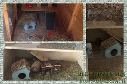 Elrond und Pandora im neuen Zuhause