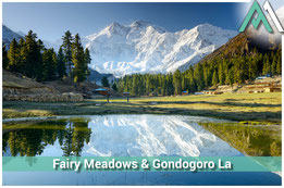 FAIRY MEADOWS & GONDOGORO LA TREKKING Von der Märchenwiese 'Fairy Meadows' bis auf den Ali Brakka 6.170m