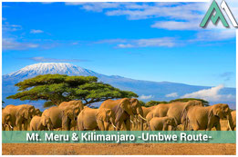 MOUNT MERU & KILIMANJARO - UMBWE ROUTE Afrikas Gipfel im Doppelpack: Mt. Meru 4.566m und Kilimanjaro 4.895m Abenteuer mit AMICAL ALPIN und EXTREK-Africa