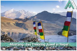 MUSTANG - DAS TREKKING JUWEL IN NEPAL Mustang Trekking und Saribung Peak: Einzigartiges Abenteuer im Herzen Nepals mit AMICAL ALPIN