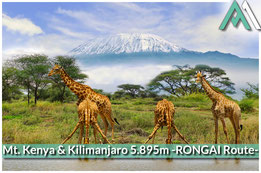 MT. KENYA & KILIMANJARO - RONGAI ROUTE Zwei Gipfel, eine Route: Mount Kenya 5.199m und Kilimanjaro 5.895m mit AMICAL ALPIN und EXTREK-Africa
