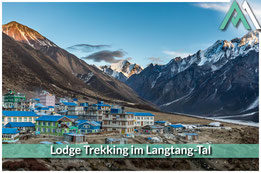 LODGE TREKKING IM LANGTANG-TAL Entdecke das Unberührte in Nepals Himalaya-Perle