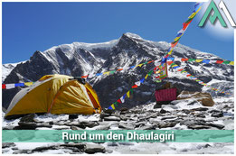 TREKKING RUND UM DEN DHAULAGIRI Dhaulagiri Trekking: Eine Expedition durch die majestätischen Höhen des Himalayas mit AMICAL ALPIN