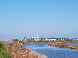 Mai 2017 - Ile de Noirmoutier