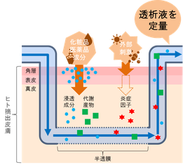 マイクロダイアリシス 微小透析法