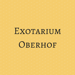 Expotarium Oberhof