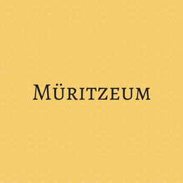 Müritzeum