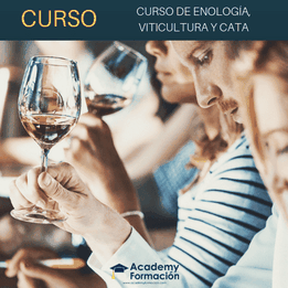 curso de enología viticultura y cata