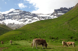 Cliquez sur la photo pour voir l'album