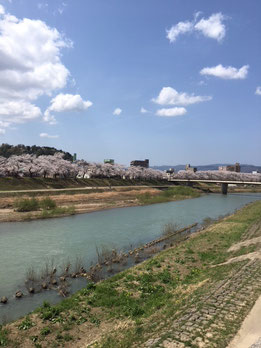 さくら プチモールうちやま0776-36-347