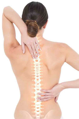In most cases, this is the acute onset of back pain. This is caused by the dysfunction of a single movement segment (acute lumbago).  COPV Berlin