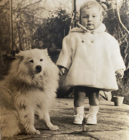 German Spitz fond of children family dog