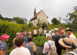 Kräuterkurs mit Renate Rösler im Insektengarten