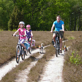 Fahrradverleih am Platz