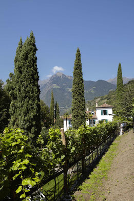 Ottmangut, Meran, mit Blick auf die Umgebung