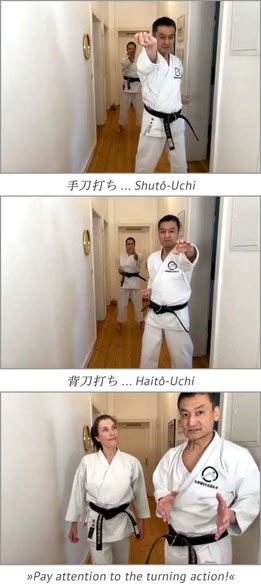 Karate Erlach, Shinji Akita-Sensei, Online Karate-Training