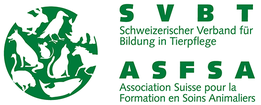Stellen / Marktplatz - SVBT - ASFSA